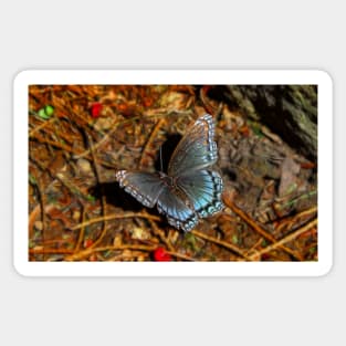 Butterfly Sticker